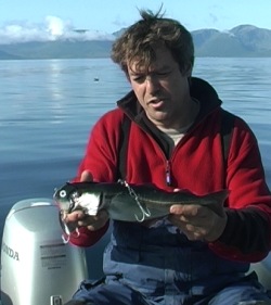 baitfish1
