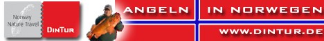 dinturbannerneu